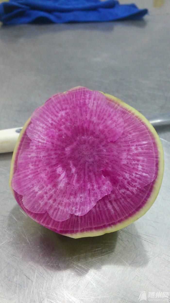 microMsg.1362972024359.jpg