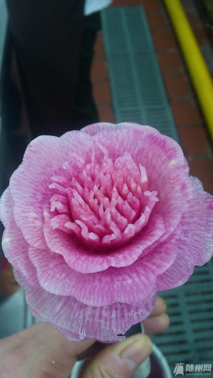 microMsg.1362973661667.jpg