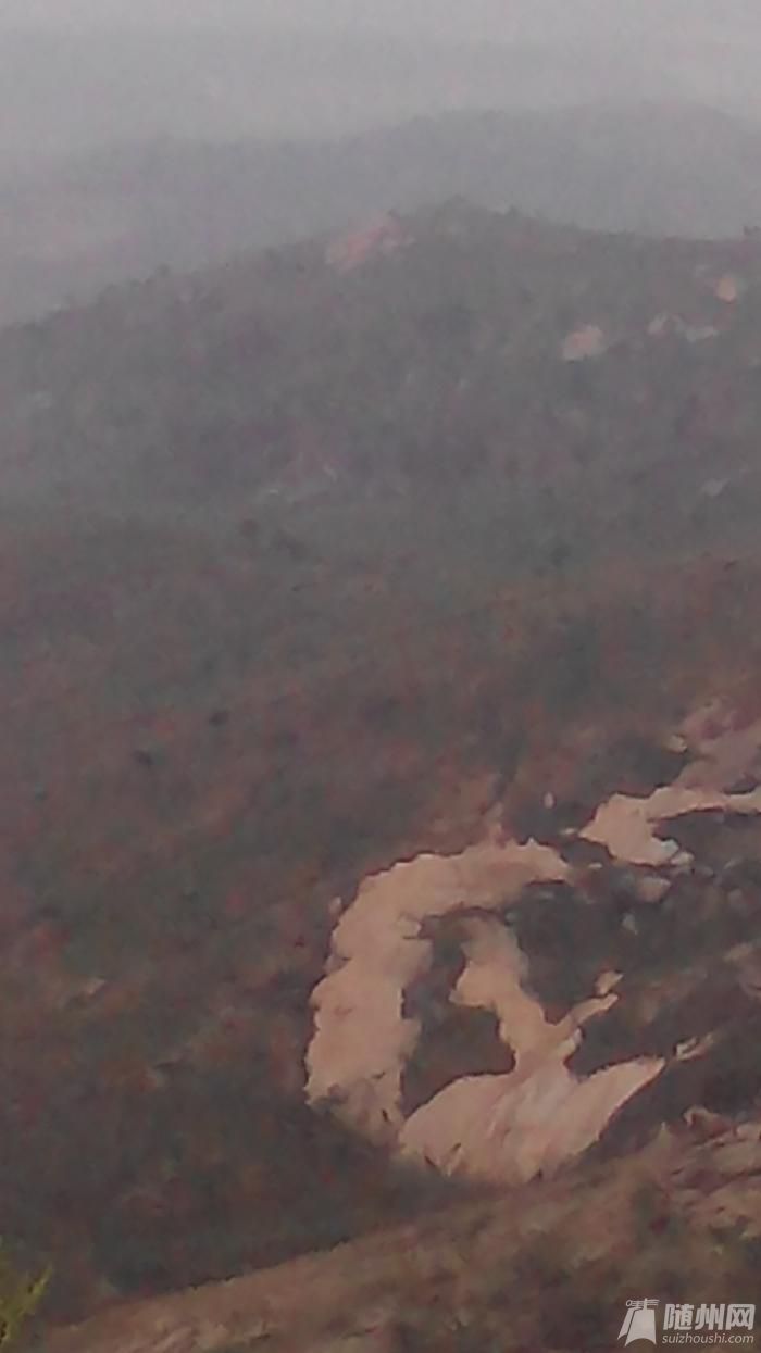 IMG_20140330_134125.jpg