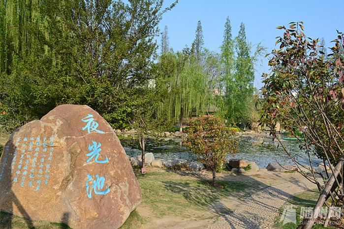 DSC_9606_副本.jpg