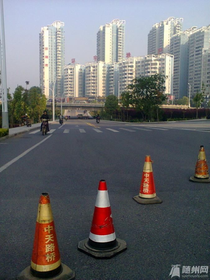 中天路橋.jpg