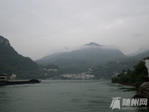 SAM_0774_副本.jpg