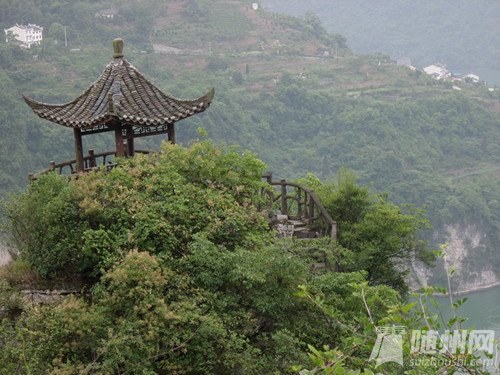 SAM_0788_副本.jpg