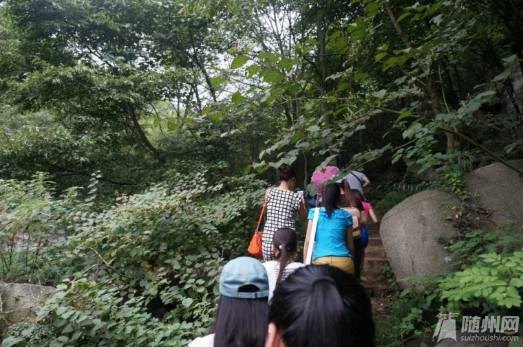 員工定期舉行活動