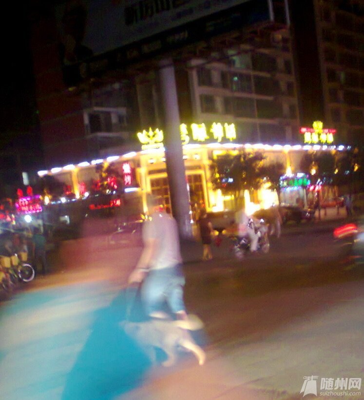 二橋晚上的狗.jpg