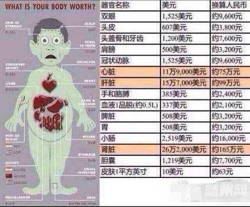 器官很貴，不要隨意取舍！