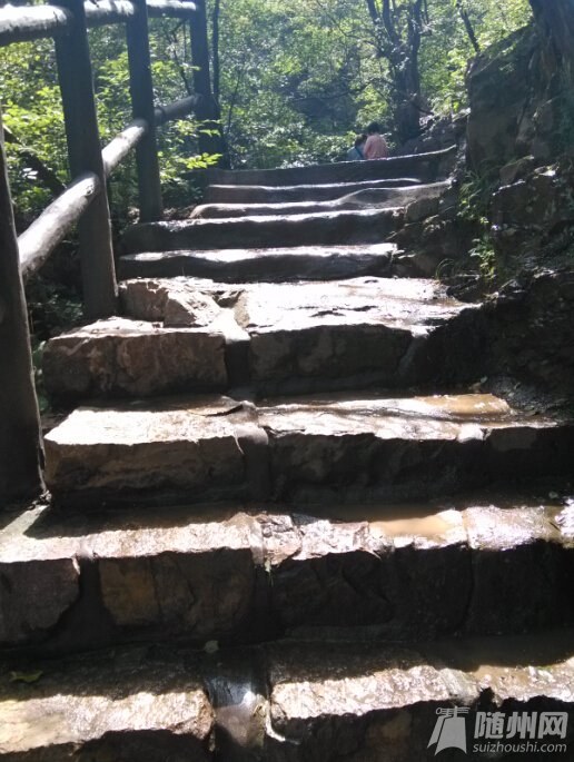 89.jpg