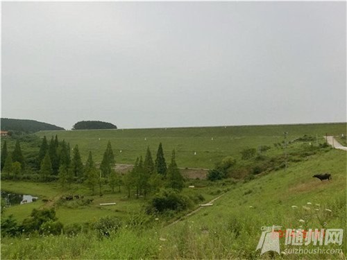 曾經(jīng)美麗的先覺廟水庫.jpg
