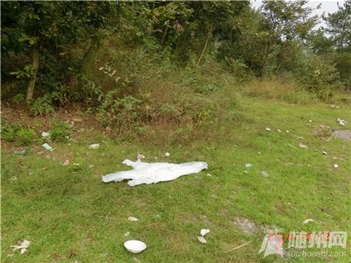 人們休閑留下的垃圾6.jpg