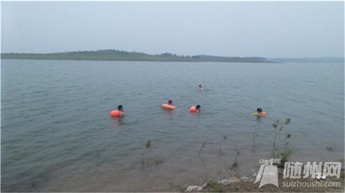 游泳的圖片.jpg