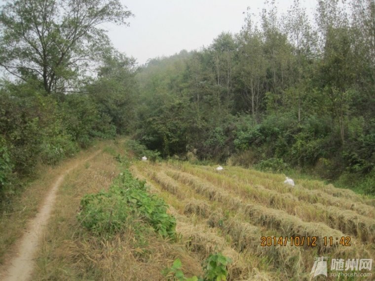 QQ圖片20141027195139.jpg
