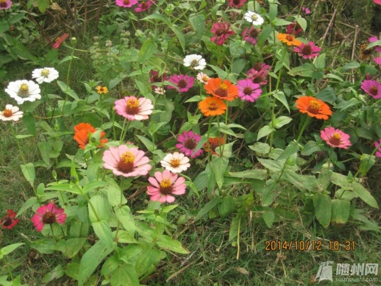 QQ圖片20141027195344.jpg