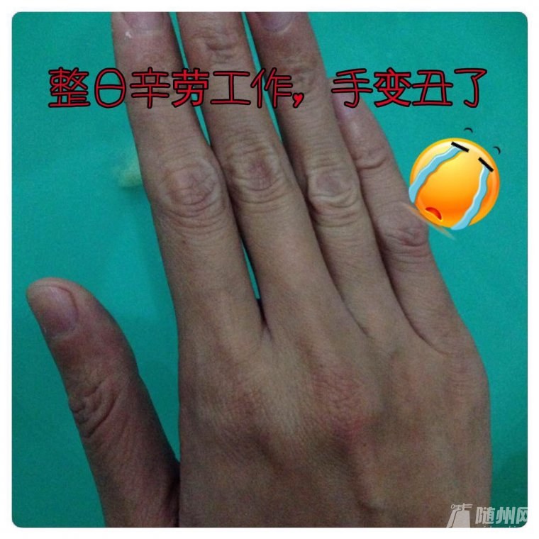 7185390781402550680.jpg