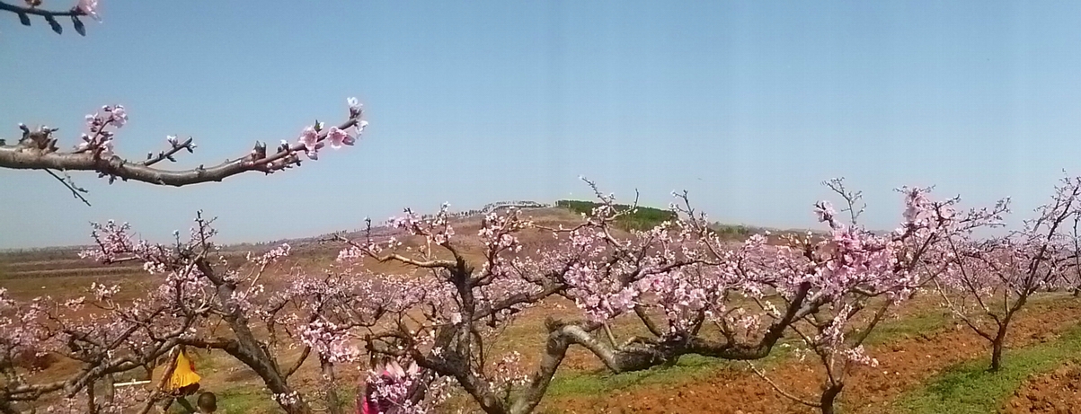 P1030079_conew1.jpg