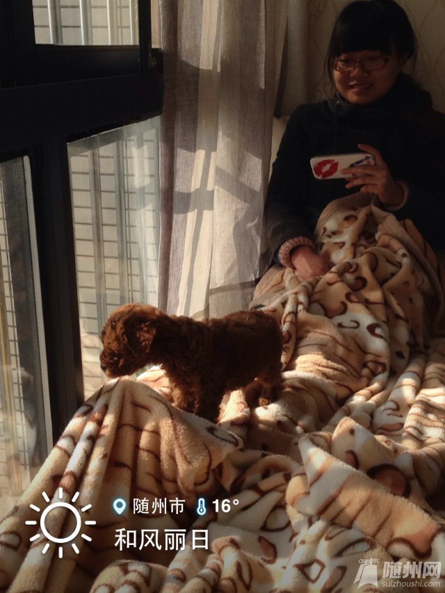 桔子
