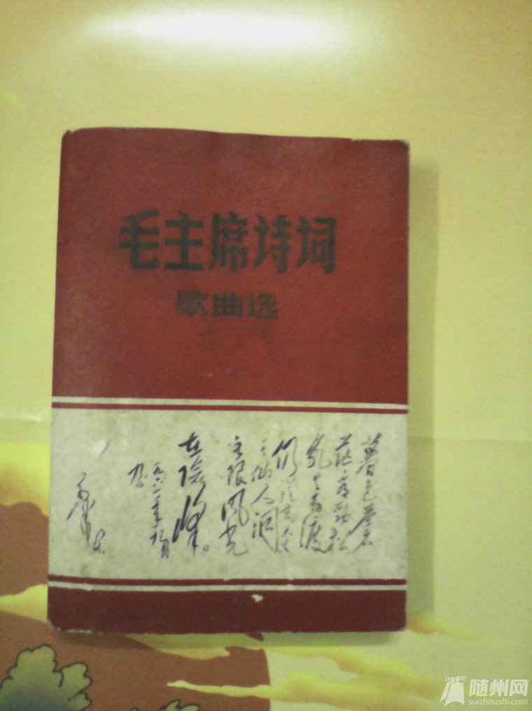 紅色收藏