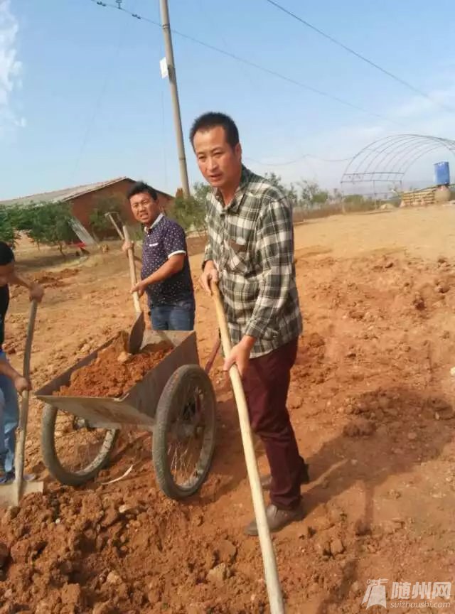 psb.jpg段.jpg