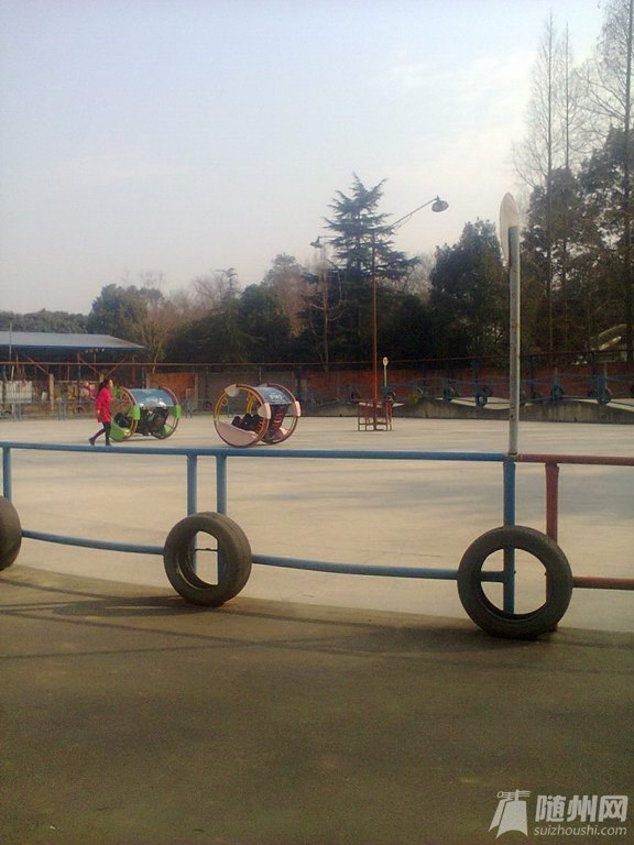 12.jpg