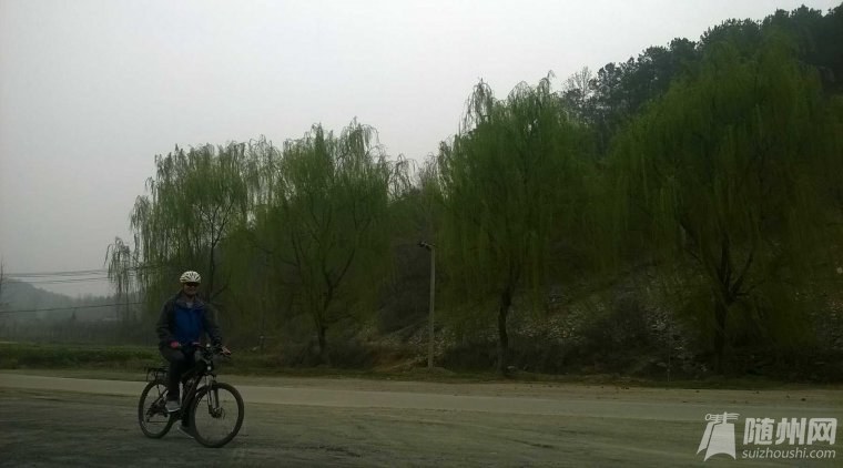 WP_20160320_11_26_44_Pro.jpg