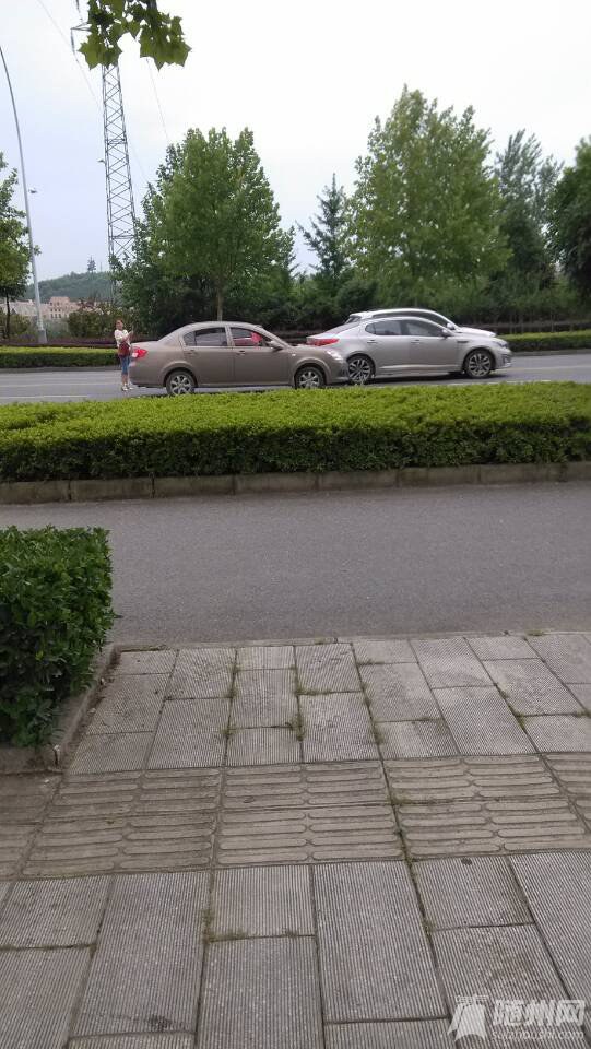 QQ圖片20160705142903.jpg