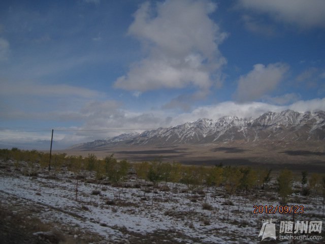 IMG_3505.jpg