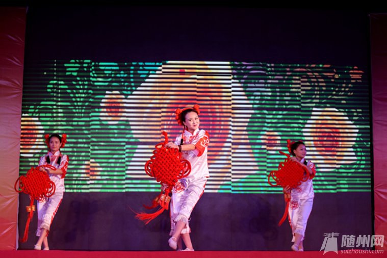 3、《歡樂中國結(jié)》胡莉藝術(shù)團(tuán)表演4_副本.jpg