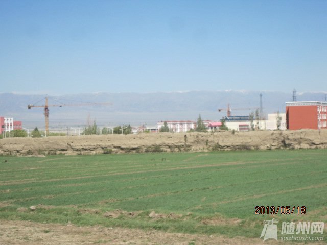 IMG_4603.jpg