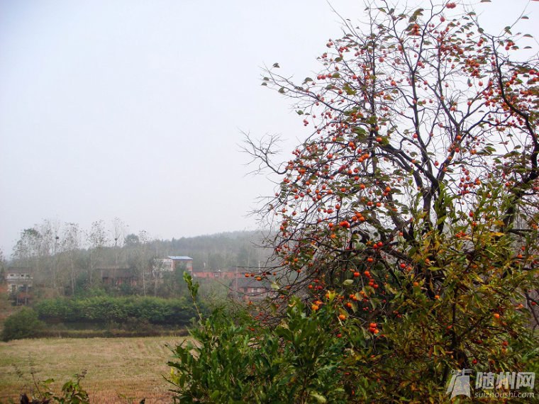 DSC07168.jpg