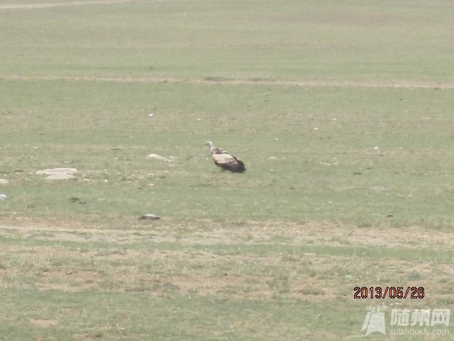 IMG_4655.jpg