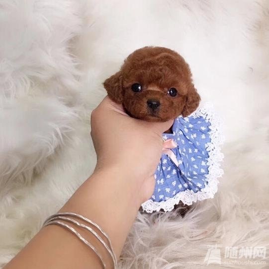 QQ圖片20190104202426_gaitubao_com_jpg.jpg