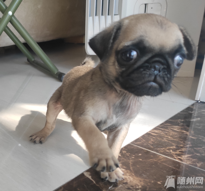 QQ圖片20190908093711.png